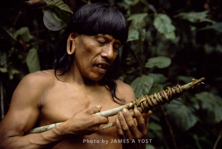 Waorani Indians: Making a hook for harvesting fruit from high in the trees, Gabado, 1974, Ecuador