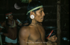 Waorani Indians: The balsa labrets are both a symbol of Waorani heritage and for beauty, Gabado, 1974, Ecuador