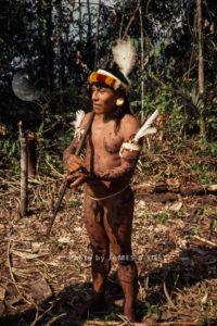 Waorani Indians: In full regalia for a fiesta, a visitor brings a brand new blowgun for a relative, Gabado, 1974, Ecuador