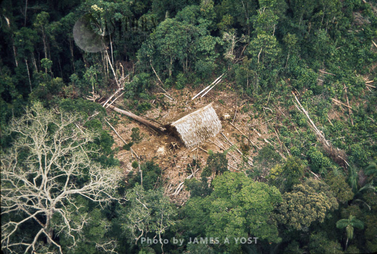 Aerial view of Waorani Indians settlement in the rainforest, near Rio Cononaco, Ecuador, 1973