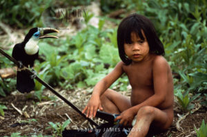 Waorani Indians: A young boy with his pet couvier's toucan