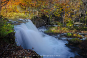  Beautiful Choshi Otaki waterfall in autumn colors at Oirase Gorge and Lake Towada, Tohoku Japan.
