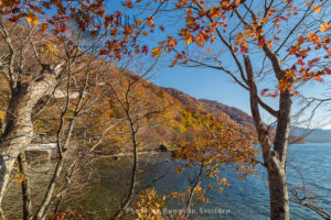 Beautiful autumn colors at Oirase Gorge and Lake Towada, Tohoku Japan.