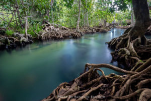 Pom Klong Song Nam, a beautiful forest stream in Krabi province, Thailand.