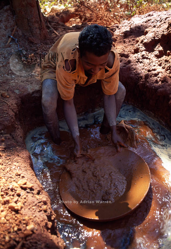 Gold mining in the territory area of Golden-crowned Sifaka (Propithecus tattersalli), Daraina, Northern Madagascar