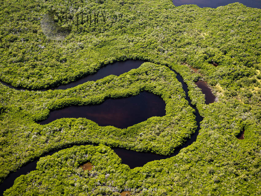 Cayo Nube Verde, Island on Roques archipelago, Caribbean Sea, Venezuela