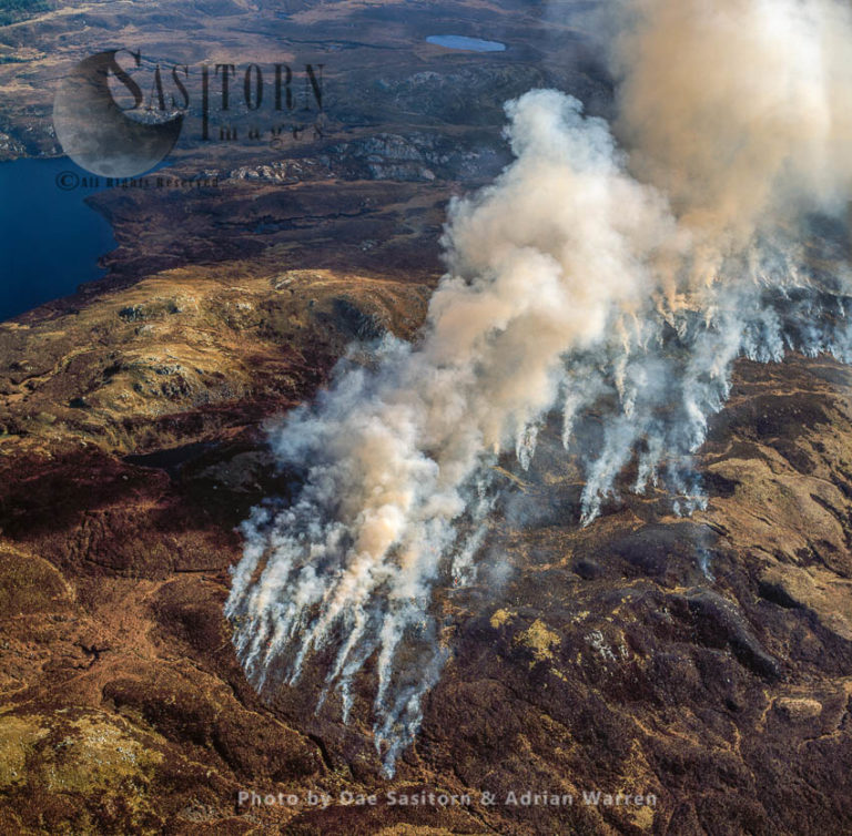 Bush Fire on Isle of Bute, Highlands, Scotland