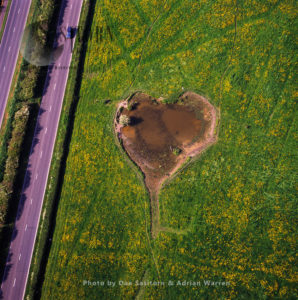 Heart shaped Pool, Somerset