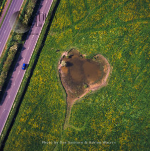 Heart shaped Pool, Somerset