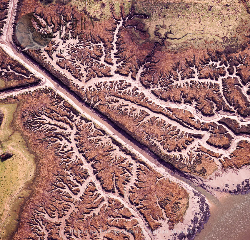 Mudflats on the estury of the River Loughor, South Wales