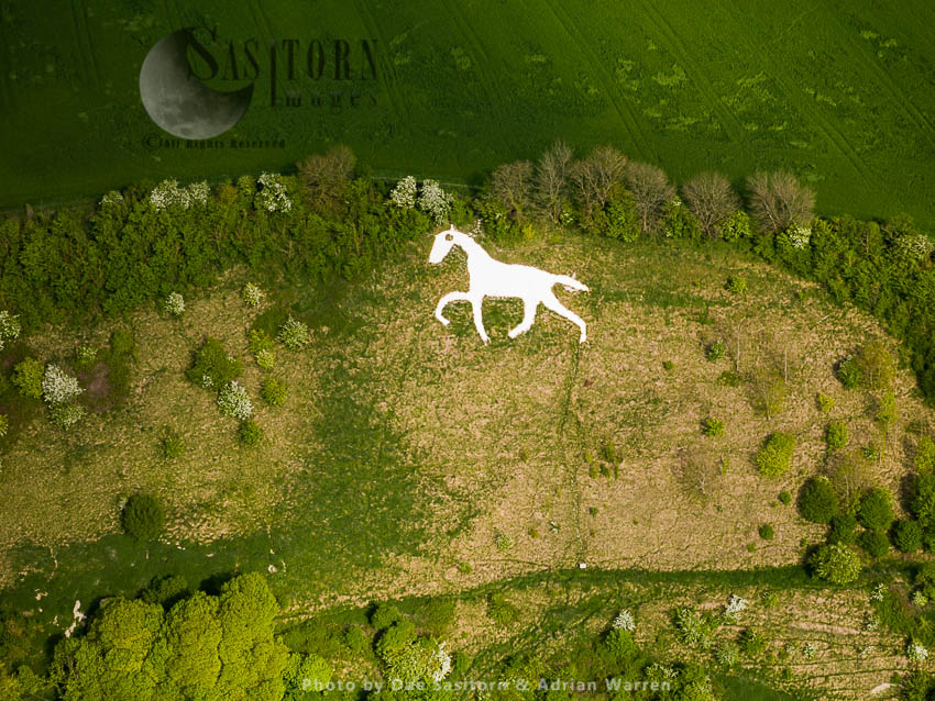 Broad Town White Horse, a hill figure of a white horse, in the village of Broad Town, Wiltshire