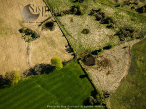 Priddy Circles, a line of four circular earthwork enclosures, Priddy, Somerset (the   third one from the south end is shown in picture, see others in series)