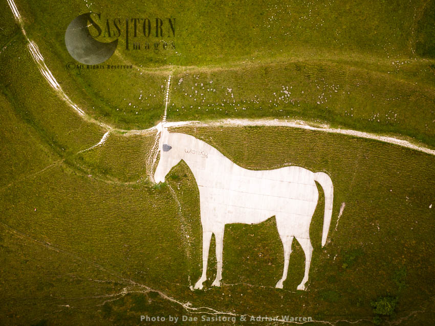 Westbury White Horse and Bratton Camp Hill Fort, Westbury, Wiltshire, England