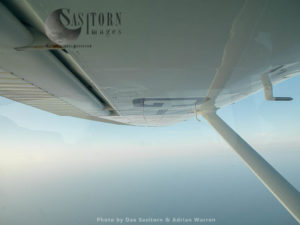A Wing of Cessna 182 flying