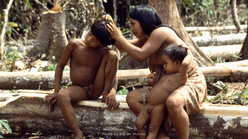 Waorani Indians, family grooming, Rio Cononaco, Ecuador, 1983 