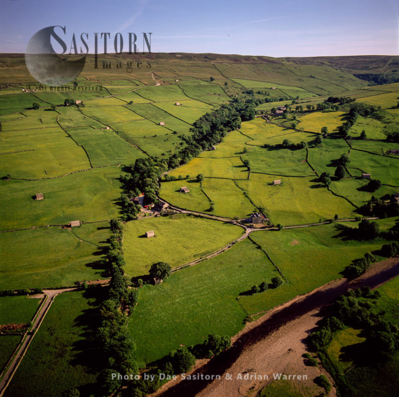 Field barns and dry stone walls, medieval field layout,  Swaledale with River Swale, Crackpot, Yorkshire Dales