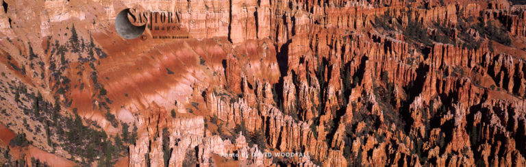 Crimson-colored hoodoos, spire-shaped rock formations, Bryce Canyon National Park, Utah, USA