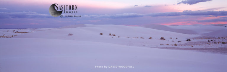 Gypsum dunes desert, White Sands National Park, Tularosa Basin, New Mexico, USA