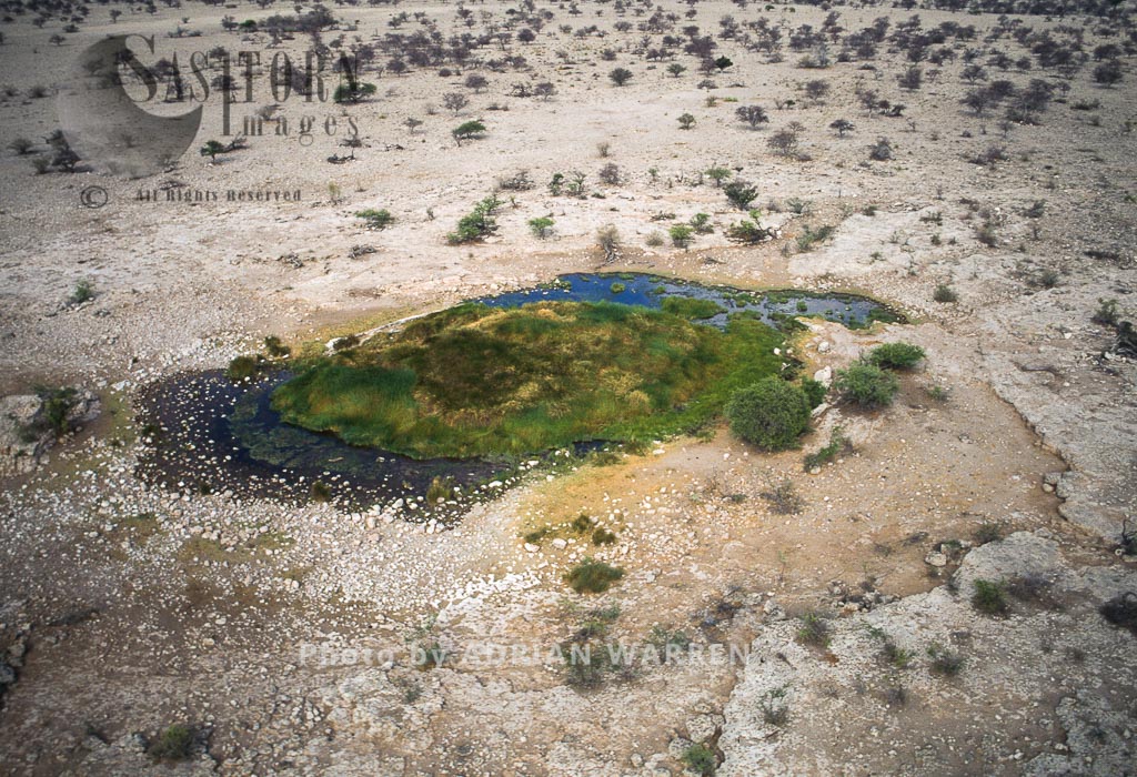 Water Hole, Etosha National Park, Namibia