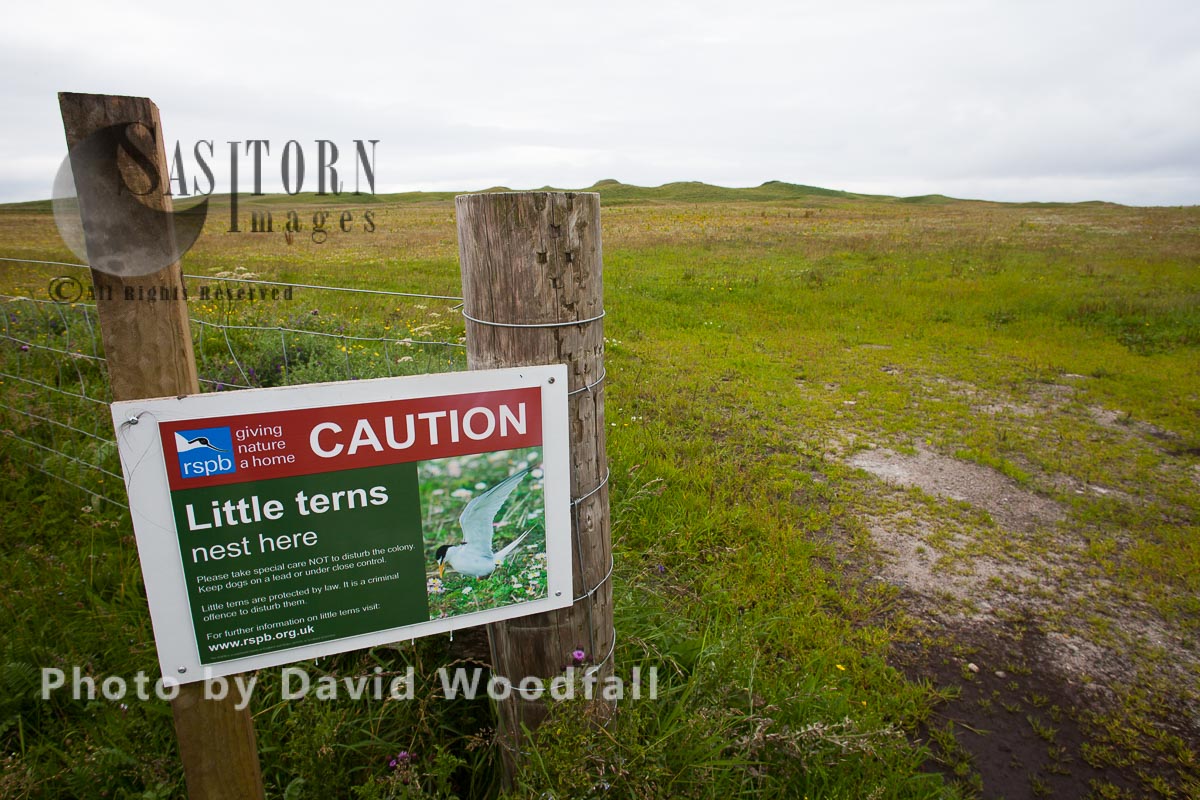 Sign to warn walkers of presence of Little Terns, easily disturbed by walkers. Berneray, North Uist