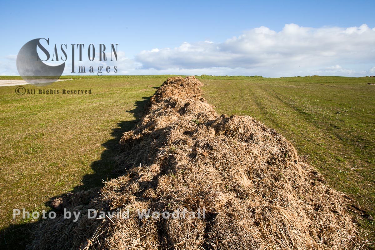 Manure, mixed with straw ready to spread on machair, which consists of sand, to enhance its fertility for crop production, Berneray, North Uist, Outer Hebrides