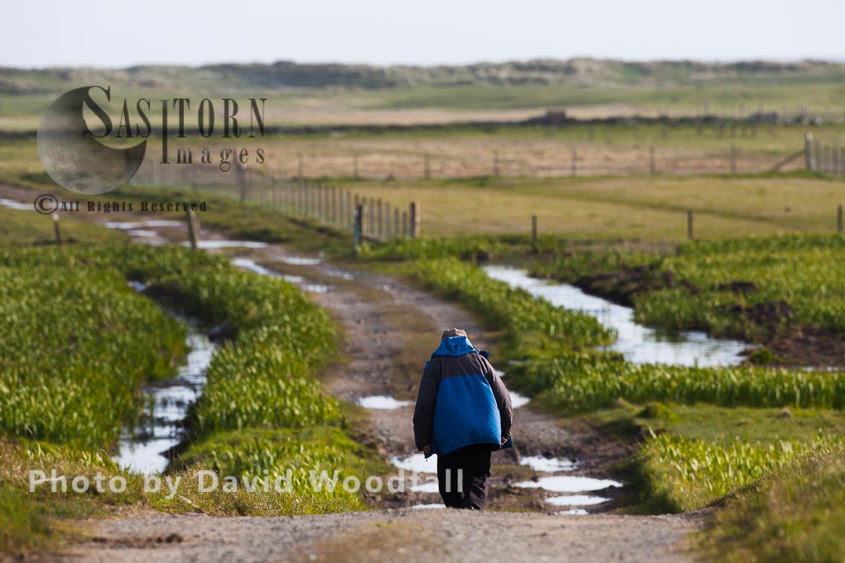 Crofter walking down croft track/ road, to his crofting land, important machir for nesting Terns and waders. Berneray, North Uist, Outer Hebrides