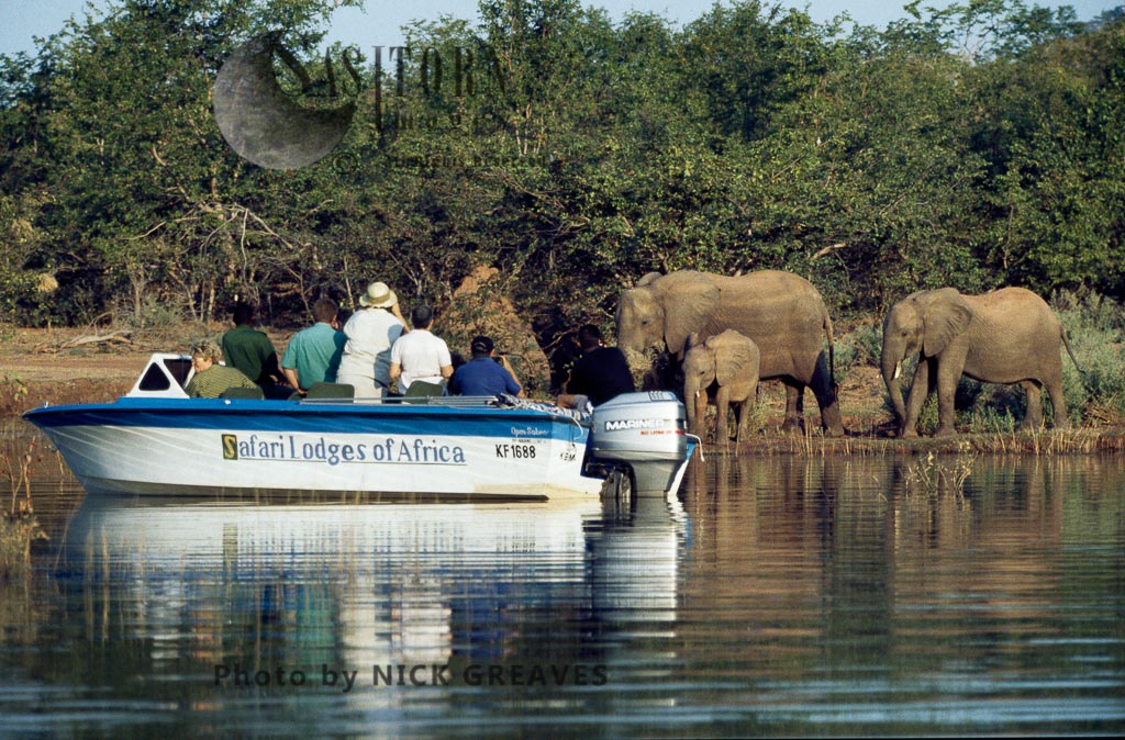 African Elephant (Loxodonta africana), 
Matusadona National Park, Lake Kariba
Zimbabwe