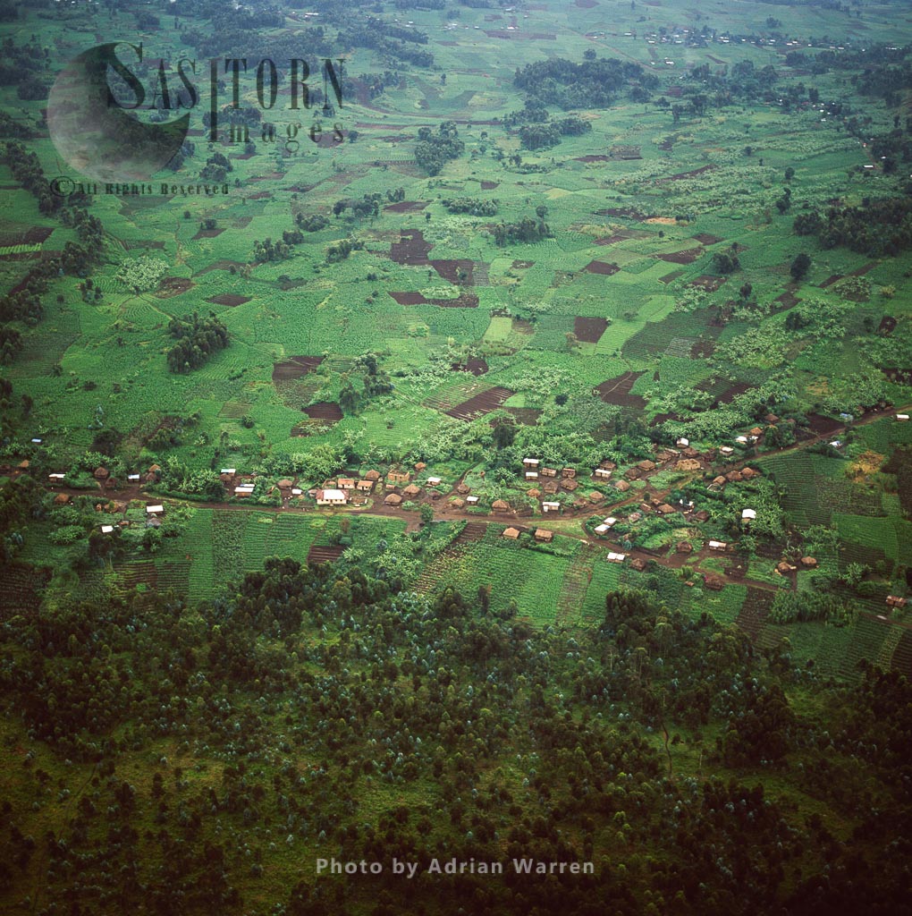 Intensive hillside agriculture and settlement on Virunga foothills, Rwanda