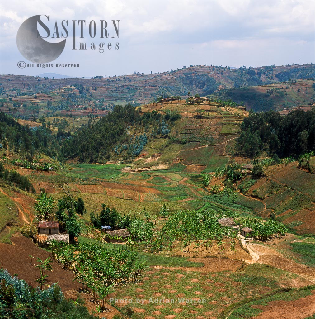 Intensive hillside agriculture and settle ment on Virunga foothills, Rwanda