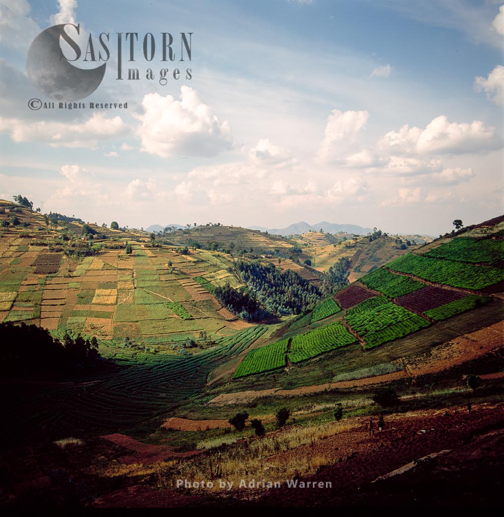 Intensive agriculture and settlement on Virunga foothills, Rwanda