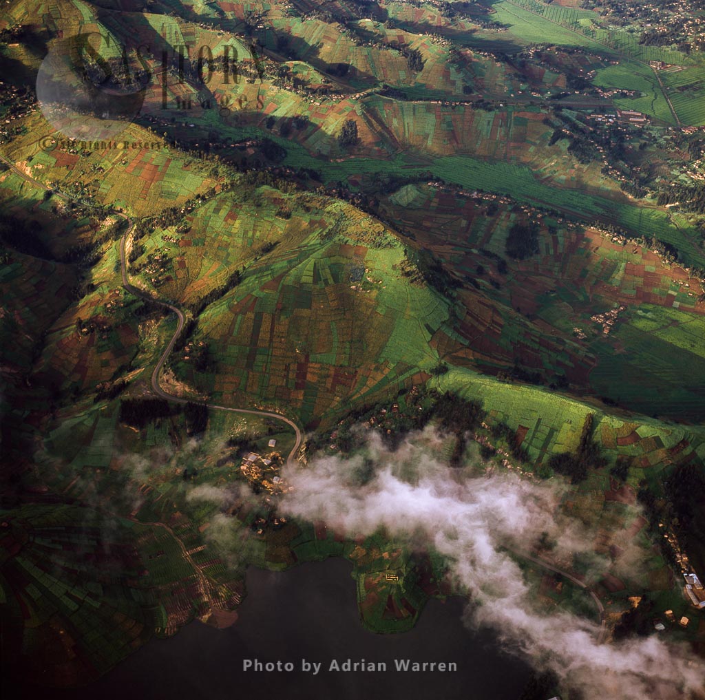 Intensive hillside agriculture on Virunga foothills, Great Rift Valley, Rwanda