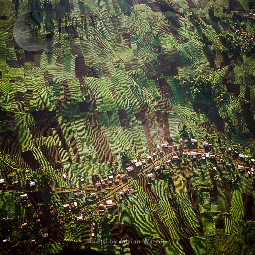 Settlements  and agriculture around Virunga foothills, Rwanda, 2003
