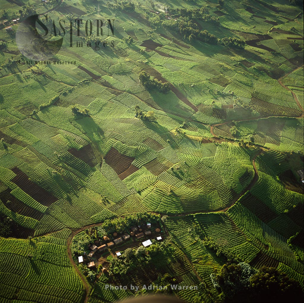 Settement and agriculture on Virunga foothills, Rwanda, Great Rift Valley, Africa
