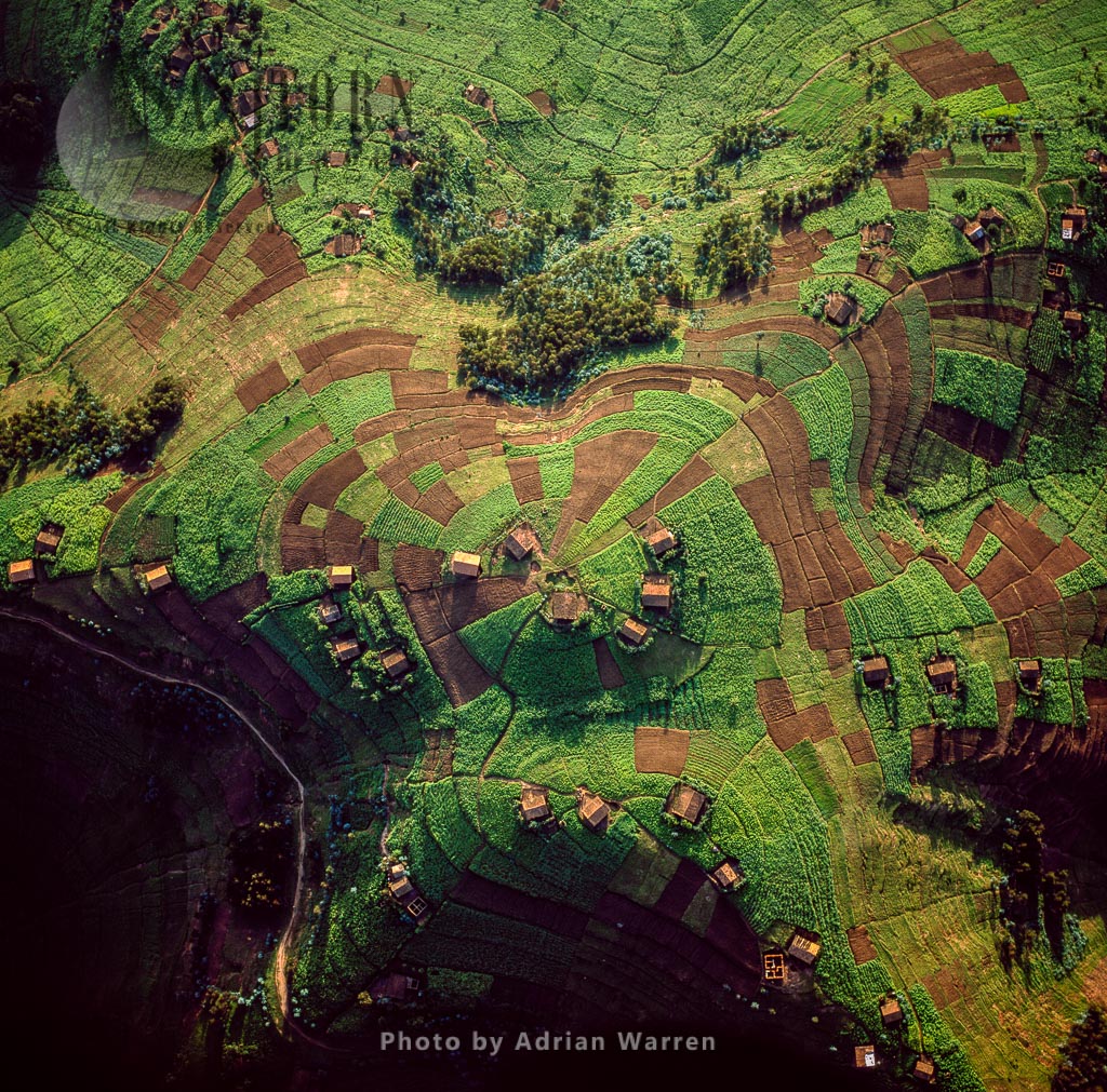 Intensive hillside agriculture and concentrated settlement on Virunga foothills