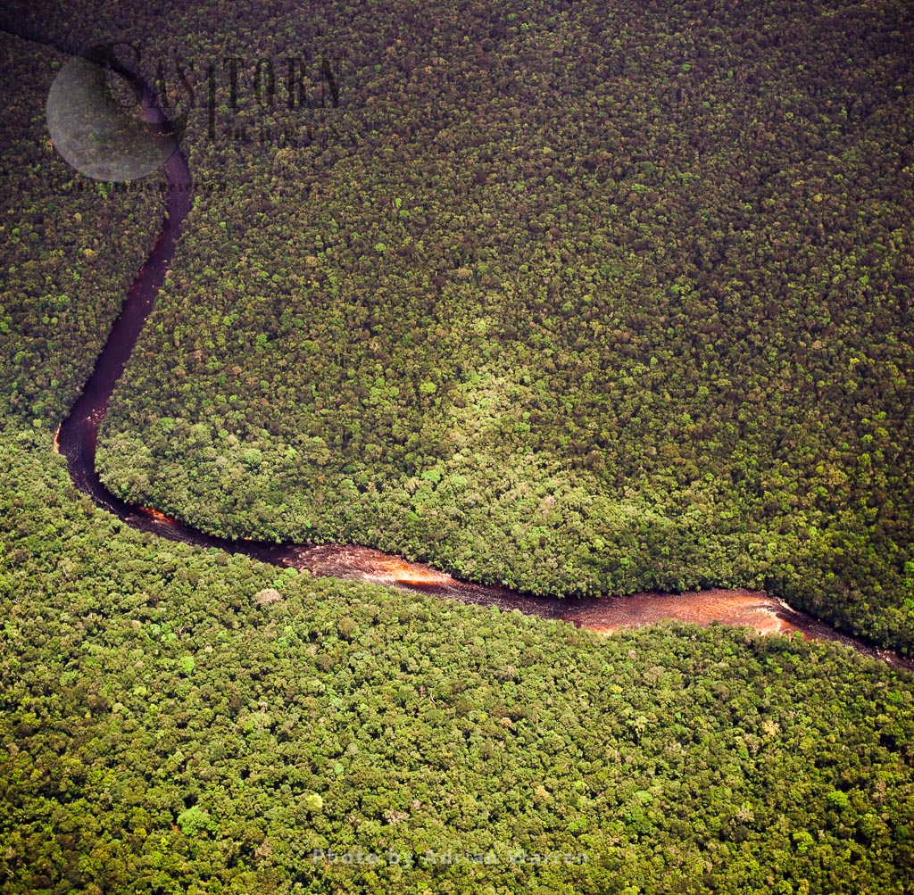 Rio Aratal, near Aprada-tepui, Tepuis, Canaima National Park, Venezuela