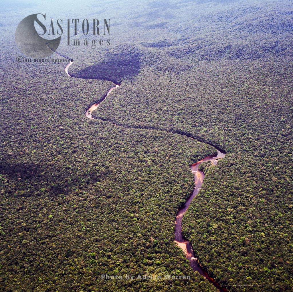 Aerial image of river near Chimanta massif, Tepuis, Canaima National Park, Venezuela