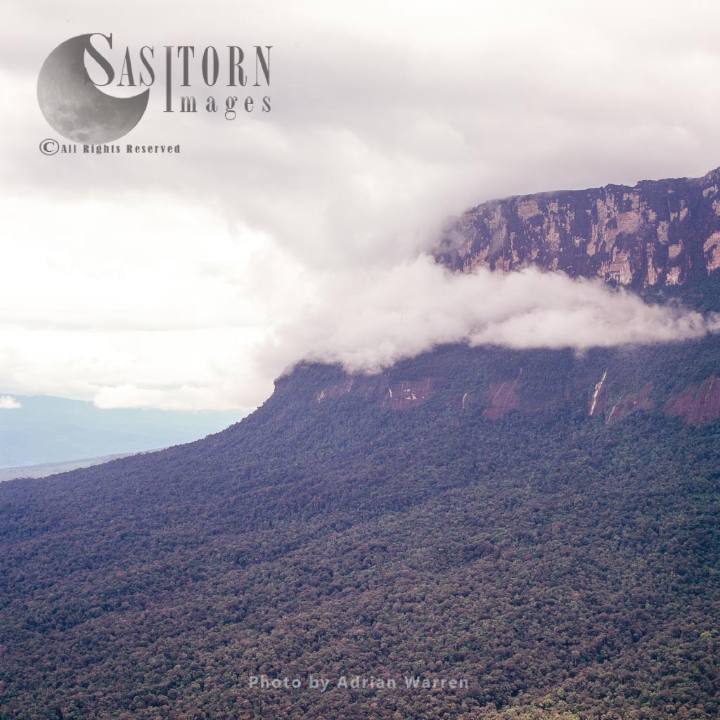 Chimanta massif in clouds, Canaima National Park, Venezuela