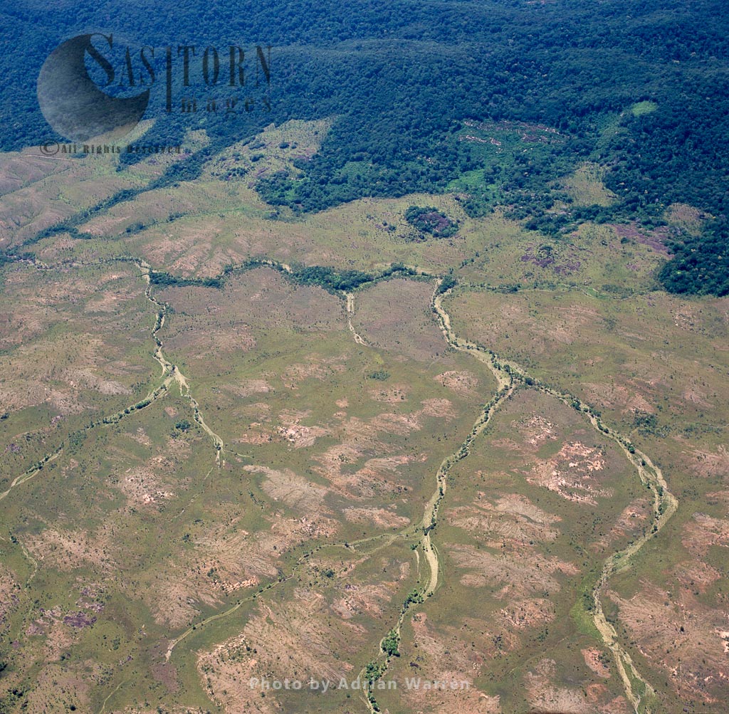 Savannah and stream courses at El Palmar, south of Puerto Ordaz, Venezuela