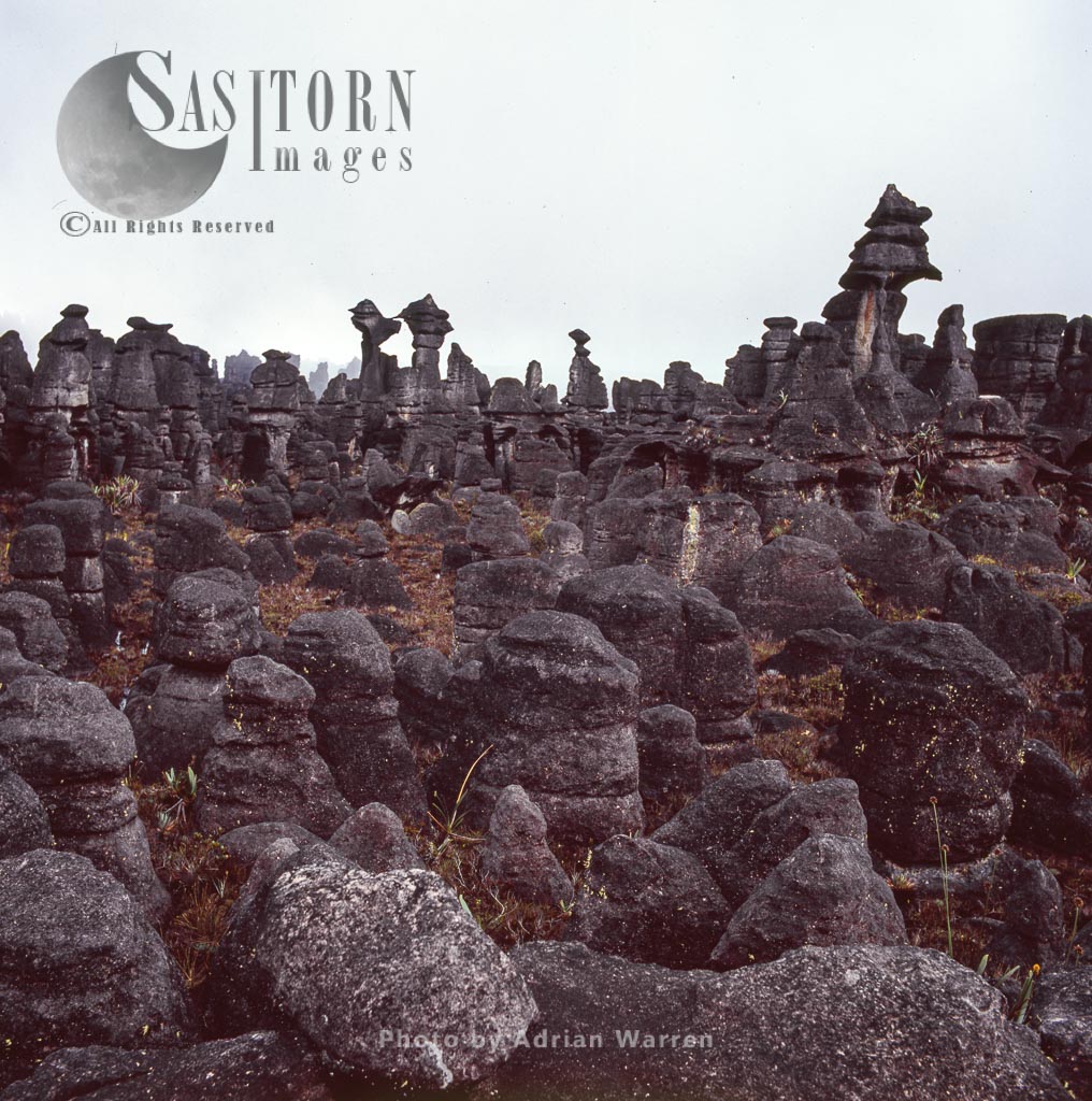 Rock shapes on Kukenan summit near the green lagoon, Tepuis, Canaima National Park, Venezuela