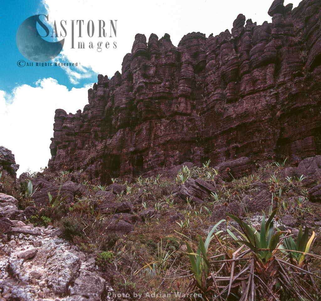 Small cliff on the trail to crystal valley on summit of Mount Roraima, Tepuis, Canaima National Park, Venezuela
