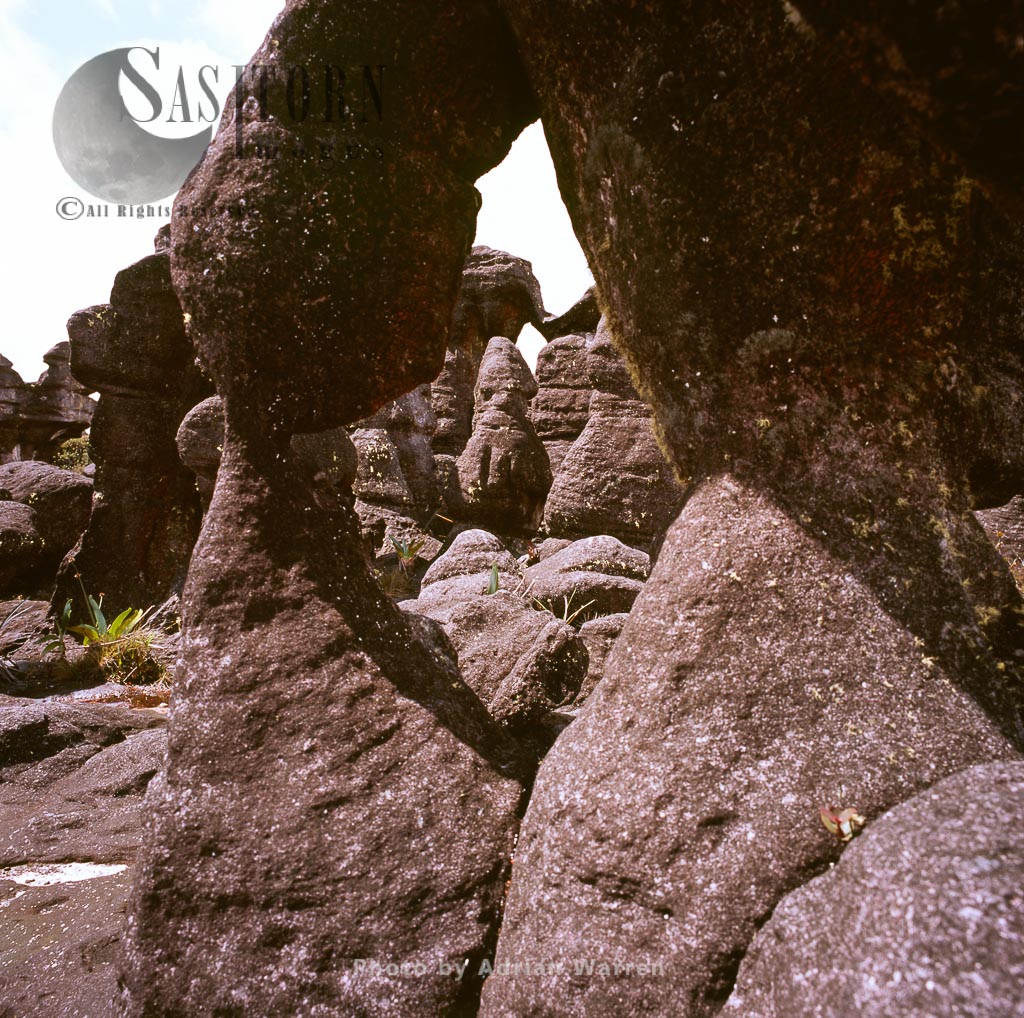 Rock shapes on Kukenan summit near the green lagoon, Tepuis, Venezuela