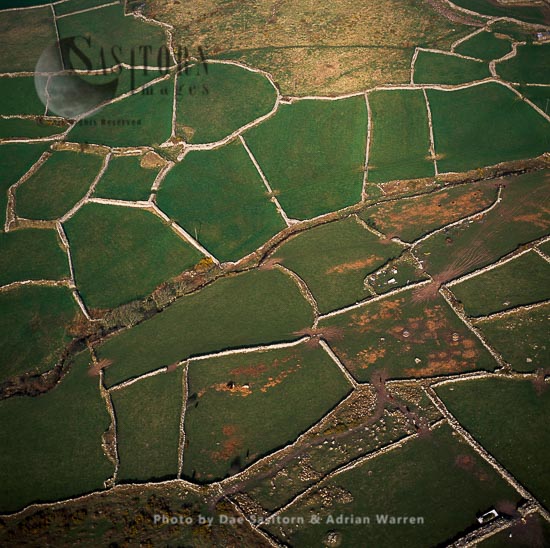 Prehistoric field system and Stone Walls, East of Morvah, Cornwall, England