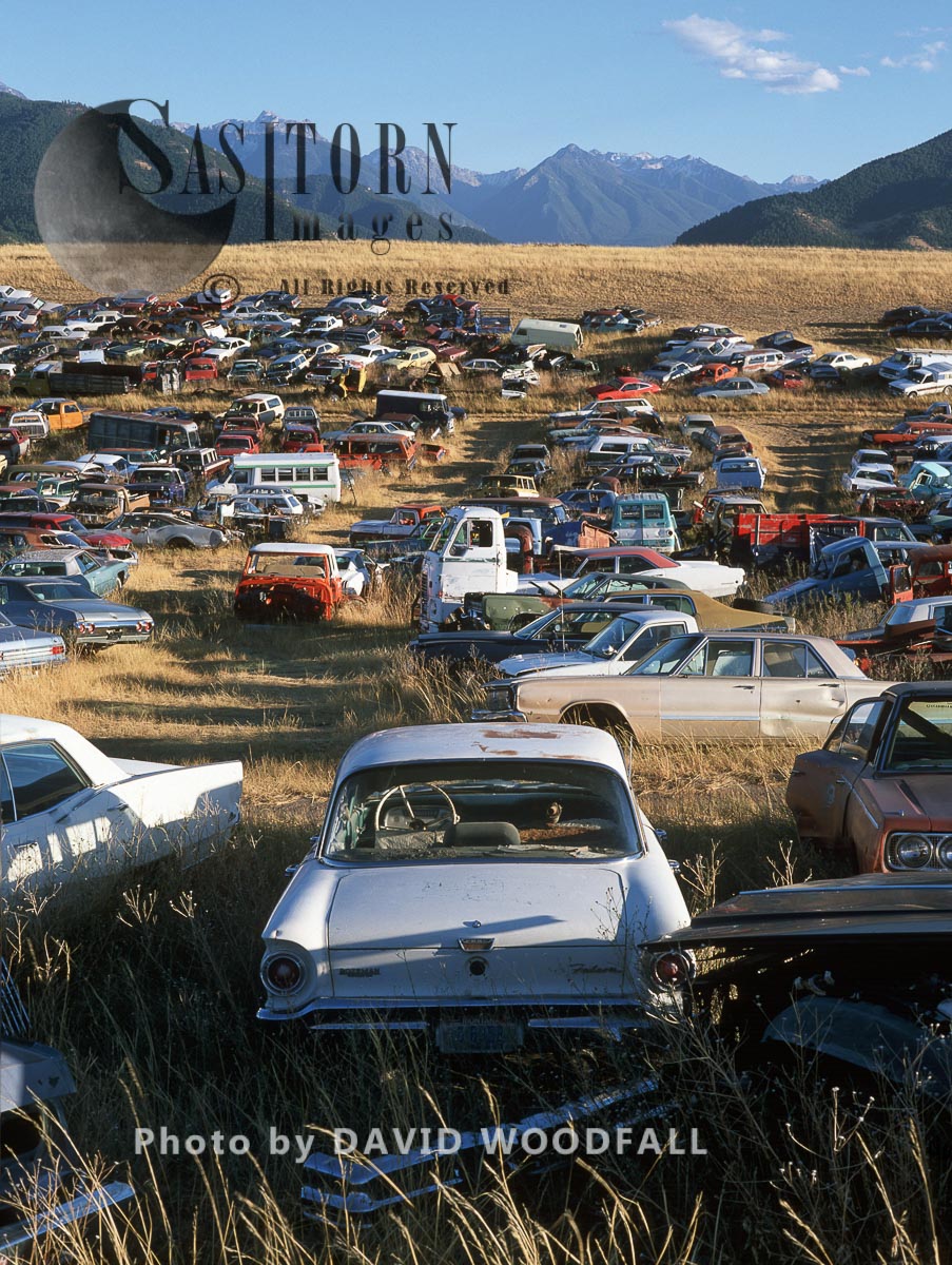 Abandoned Cars, Rocky Mountains