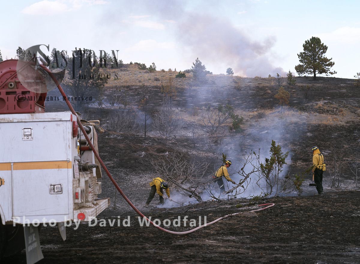 Firemen and Wildfire in Big Timber Forest