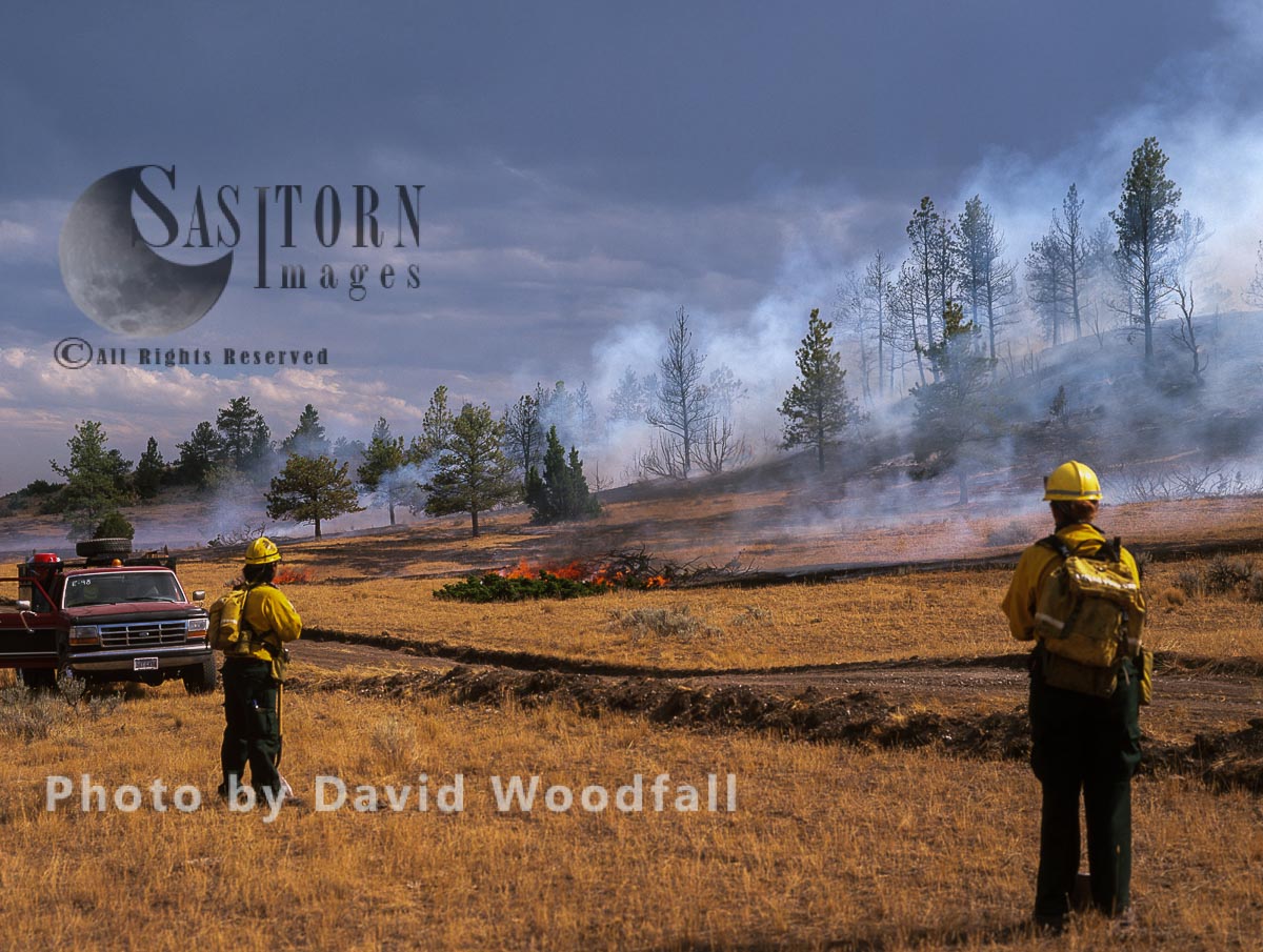 Firemen and Wildfire in Big Timber Forest