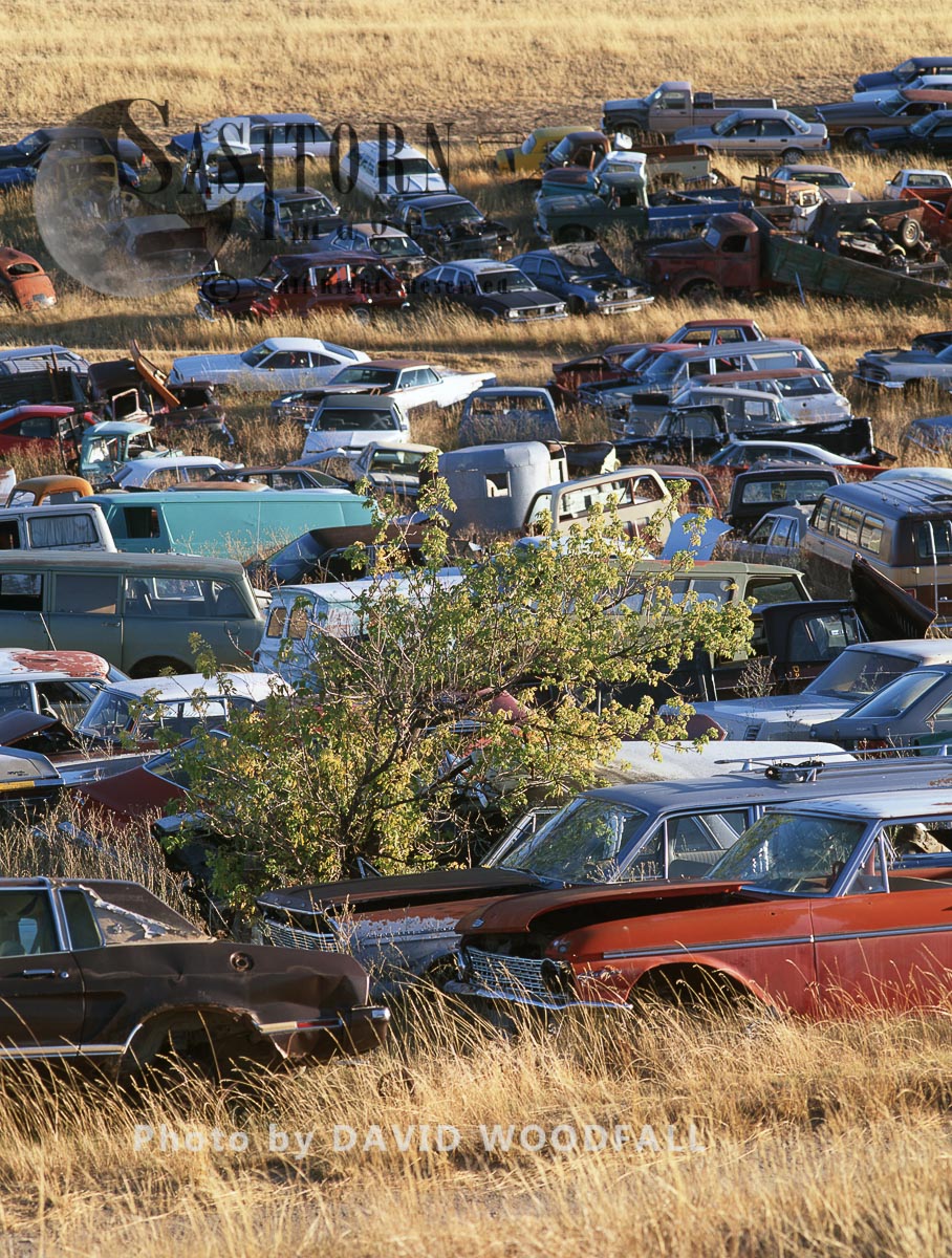 Abandoned Cars, Rocky Mountains