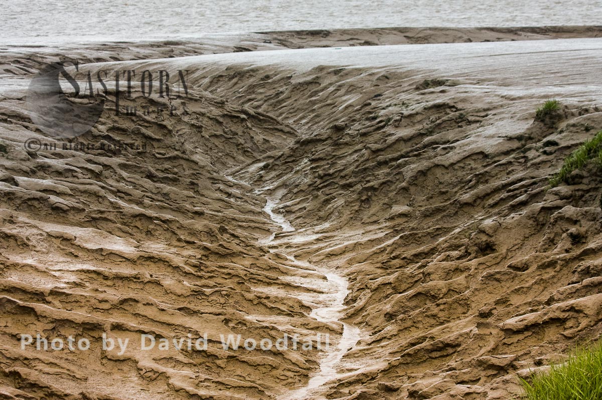 Tidal channel at low tide, Severn Estuary