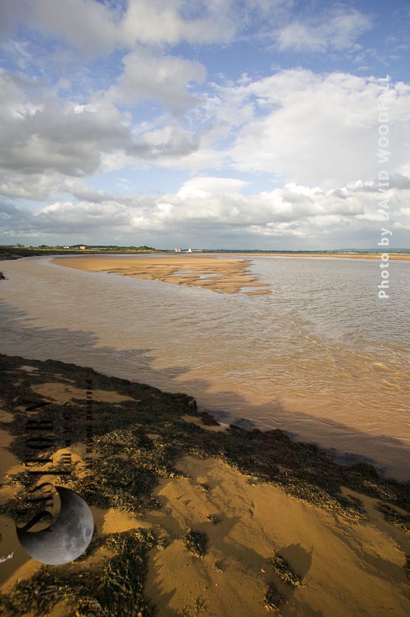 Severn Estuary at low tide
